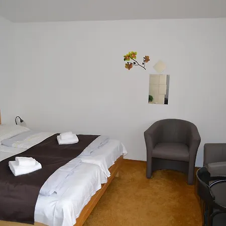 Valnovka 3* Каменице